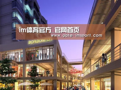 案例展示一(图1)