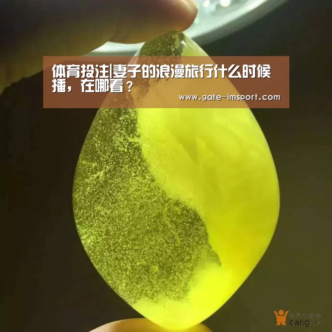 im体育官网