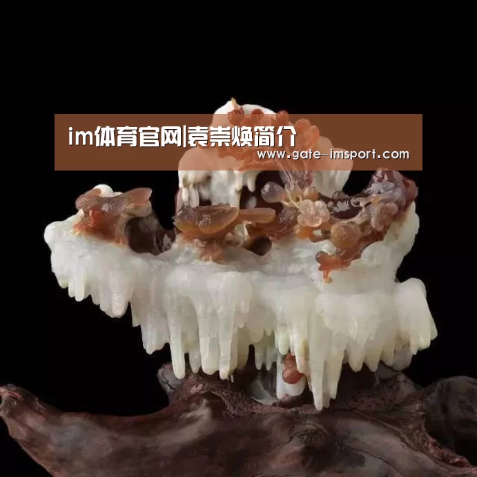 im体育官网