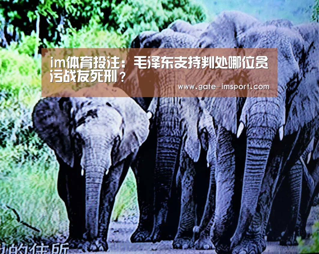 在线投注