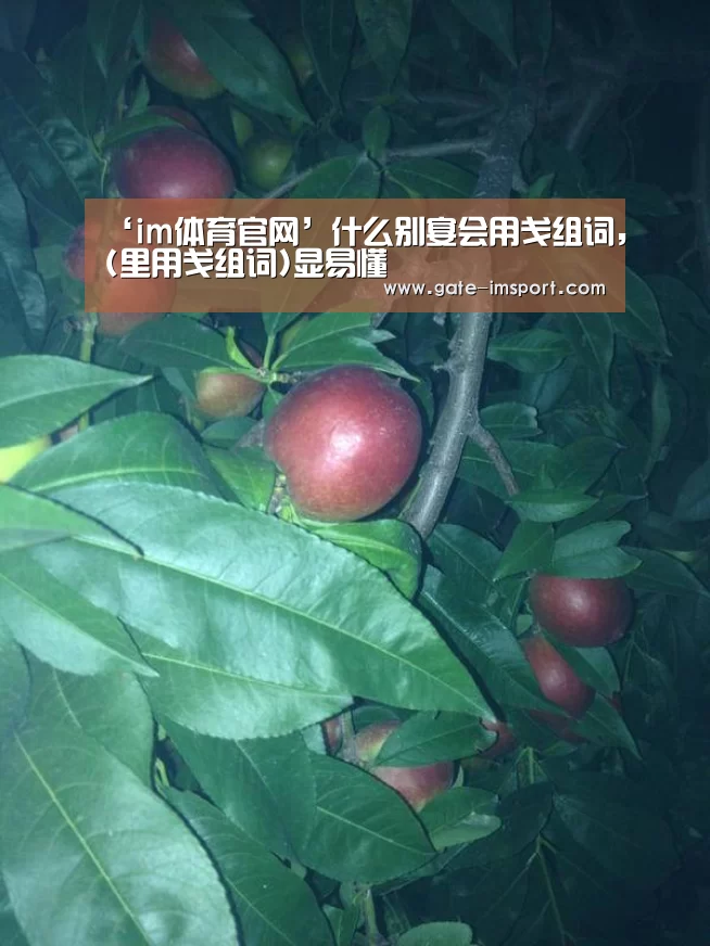‘im体育官网’什么别宴会用戋组词,(里用戋组词)显易懂(图3) im体育投注