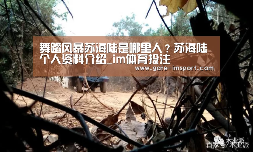 舞蹈风暴苏海陆是哪里人?苏海陆个人资料介绍_im体育投注(图1) im体育官网