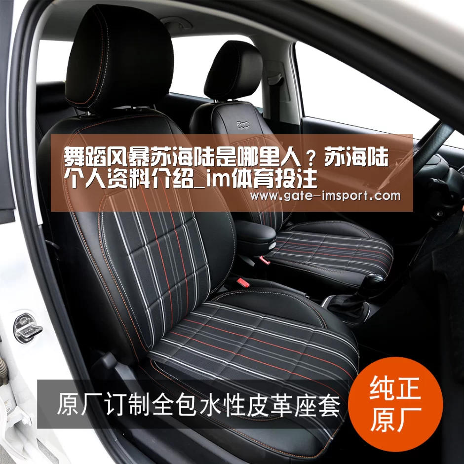 舞蹈风暴苏海陆是哪里人?苏海陆个人资料介绍_im体育投注(图3) im体育投注