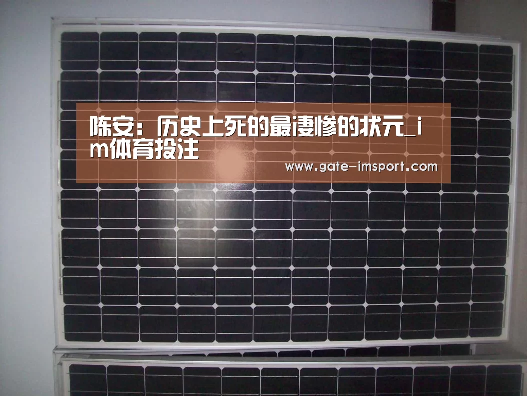 陈安:历史上死的最凄惨的状元_im体育投注(图4) im体育投注