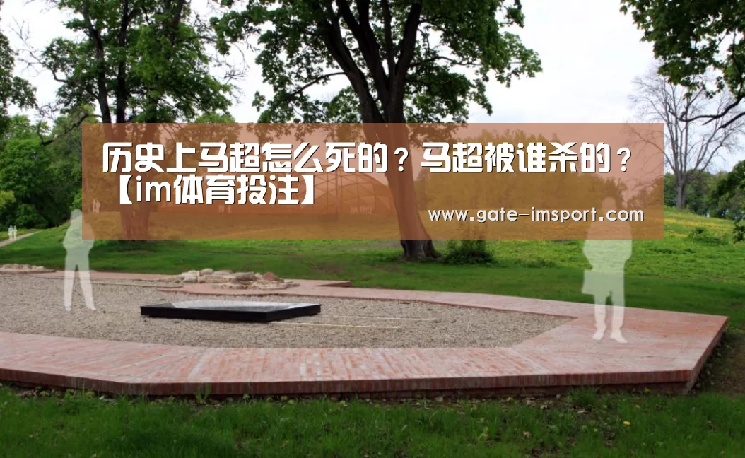 im体育官网