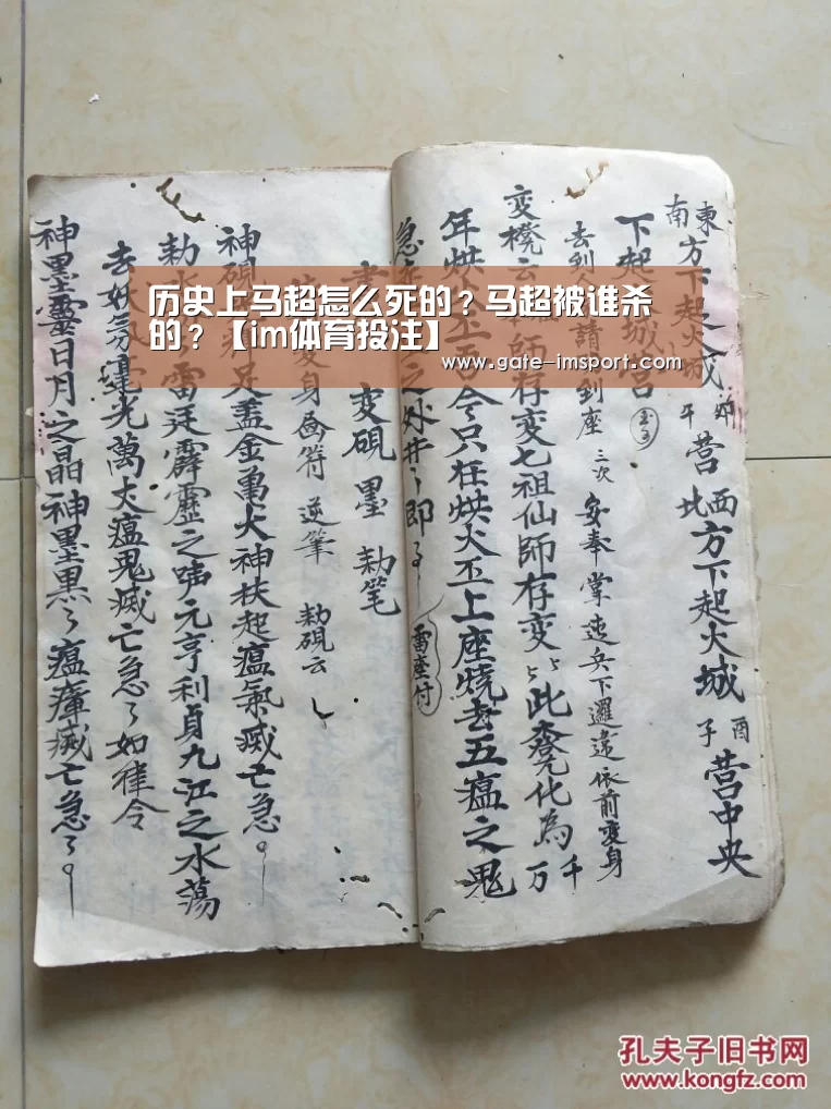 体育投注